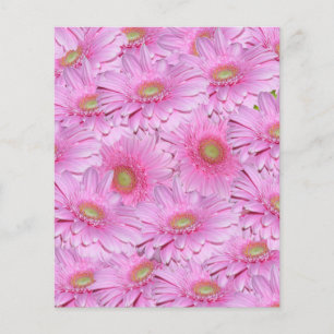 Pink Tight Clusters Of Gerbera Flowers, Flyer