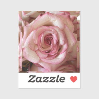 Pink Tipped White Rose Custom Vinyl Sticker