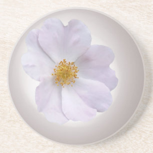 pink to purple coaster