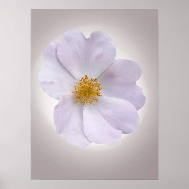 pink to purple poster (Front)