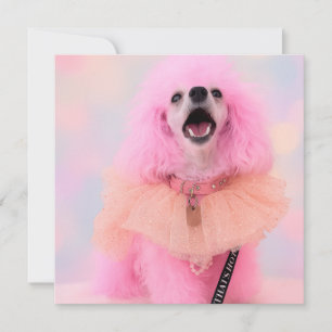 Pink Toy Poodle, Mozzarella The Poodle, card