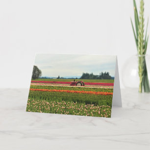 Pink Tractor in Tulip Field, Oregon Card