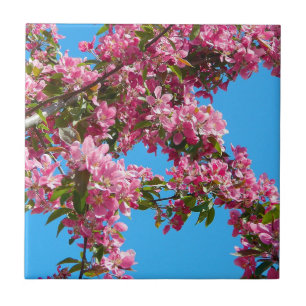 Pink Tree Blossom and Blue Sky Ceramic Tile