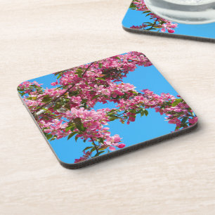 Pink Tree Blossom and Blue Sky Photo Coaster
