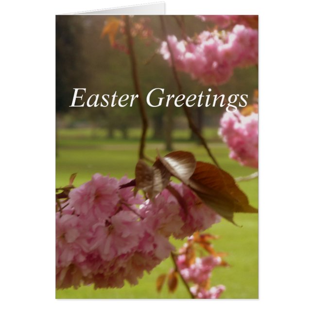 Pink Tree Blossom Easter Greetings Card (Front)