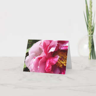 Pink Tree Peony Notecard