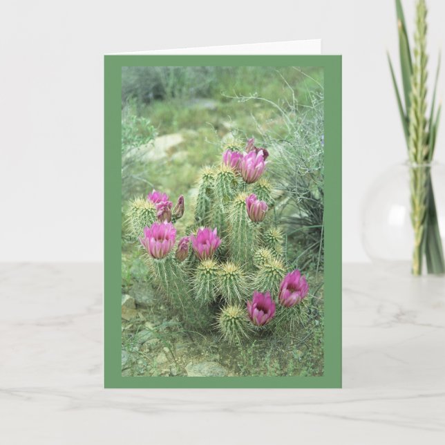 Pink Trill Desert Cactus Greeting or Note Cards (Front)