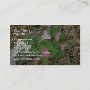 Pink Trilliums, Quebec, Canada. flowers Business Card