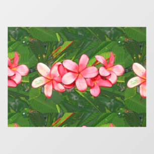 Pink Tropical Frangipani Art