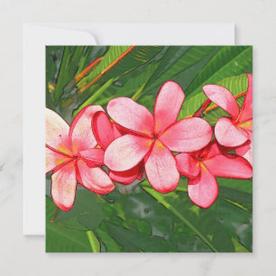 Pink Tropical Frangipani Art Announcement