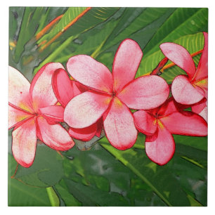 Pink Tropical Frangipani Art Ceramic Tile