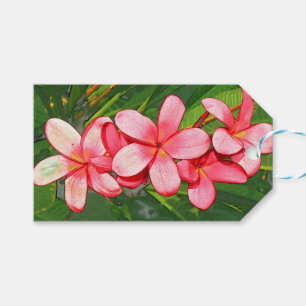 Pink Tropical Frangipani Art Gift Tags