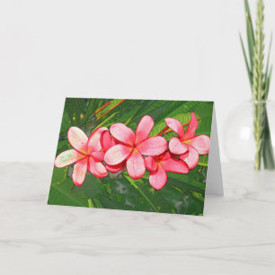 Pink Tropical Frangipani Art Holiday Card