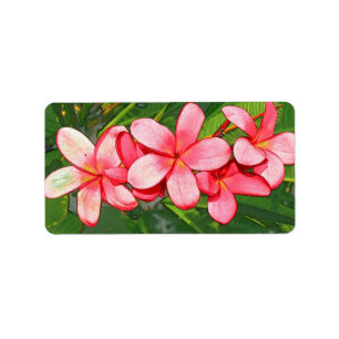 Pink Tropical Frangipani Art Label