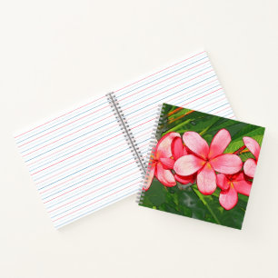 Pink Tropical Frangipani Art Notebook