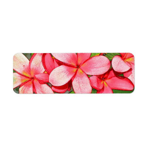 Pink Tropical Frangipani Art Return Address Label