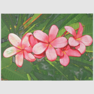 Pink Tropical Frangipani Art Tissue Paper