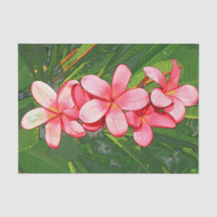 Pink Tropical Frangipani Art Tissue Paper