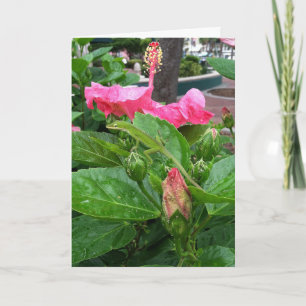 Pink Tropical Hibiscus Flower Camouflaged Lizard Card