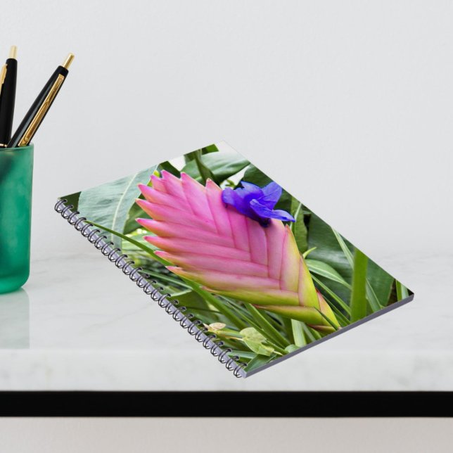 Pink Tropical Quill Plant Floral Notebook (In Situ)