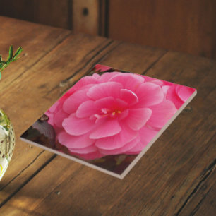 Pink Tuberous Begonia Floral Ceramic Tile