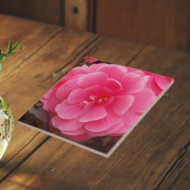 Pink Tuberous Begonia Floral Ceramic Tile (In Situ)