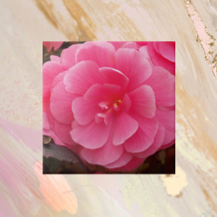 Pink Tuberous Begonia Floral Ceramic Tile