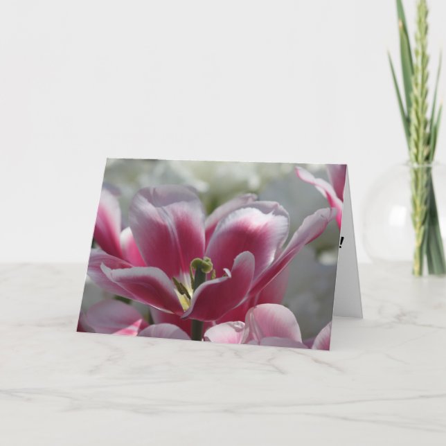 pink tulip birthday card (Front)