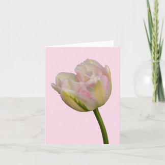 Pink Tulip Blank or Custom Greeting Thank You Note Card