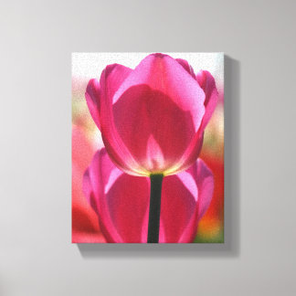 Pink Tulip Canvas Print