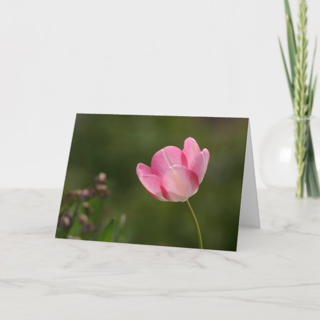 Pink tulip card (Front)