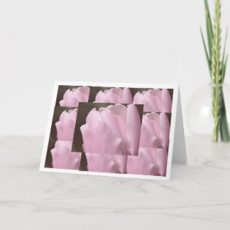 Pink Tulip Card