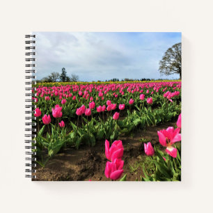 Pink Tulip Field, Oregon Notebook