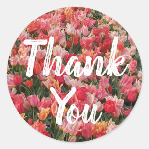 Pink Tulip Flower Garden Thank You Classic Round Sticker