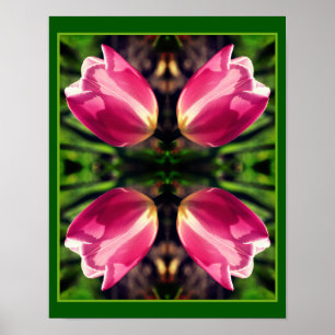 Pink Tulip Flower In Sunlight Mirror Abstract Poster