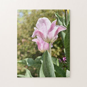 Pink Tulip Flower Nature Photography London UK Jigsaw Puzzle