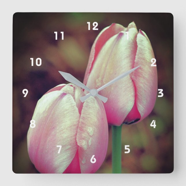 Pink Tulip Flowers With Raindrops   Square Wall Clock (Front)