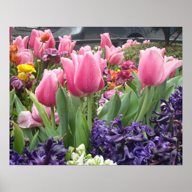 Pink Tulip Forest Poster (Front)