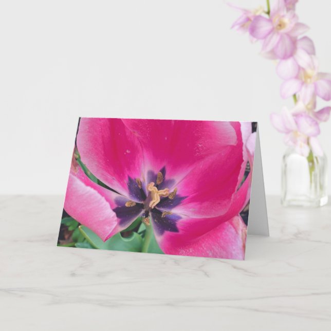 Pink Tulip Greeting Card (Orchid)