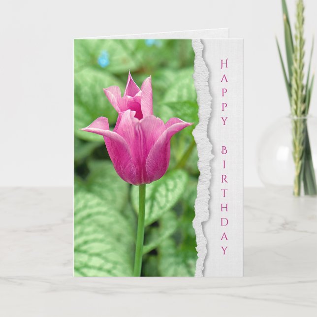 pink tulip in garden birthday card (Front)