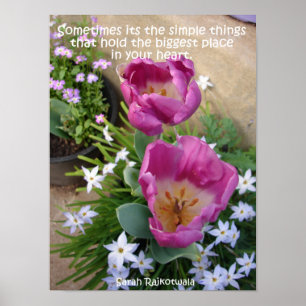 Pink Tulip Little Things Spring Garden Poster