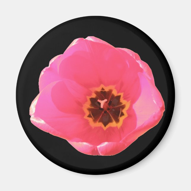 Pink Tulip Magnet (Front)