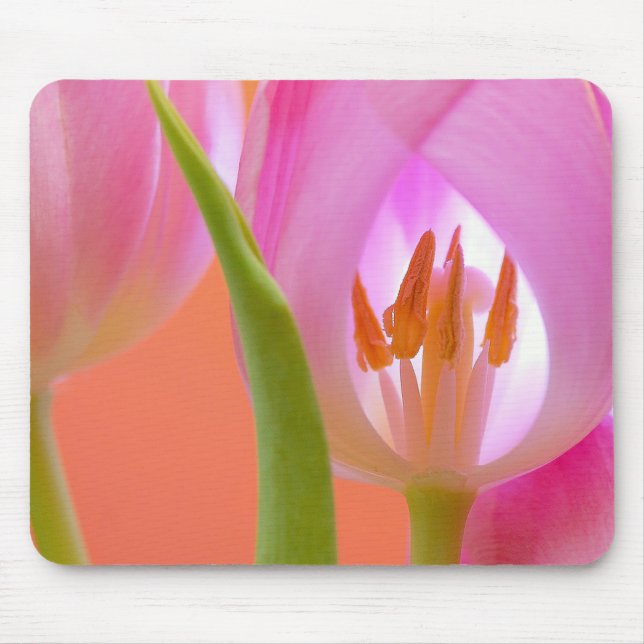 Pink tulip mouse pad (Front)