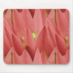 Pink Tulip Mouse Pad