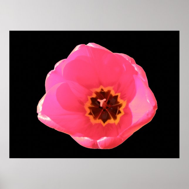 Pink Tulip Print (Front)