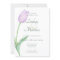 Pink Tulip Solo Purple Modern
