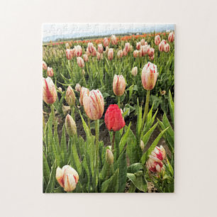 Pink Tulip Standing Out Jigsaw Puzzle