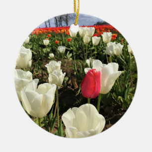 Pink Tulip Standing Out, Oregon Ceramic Ornament