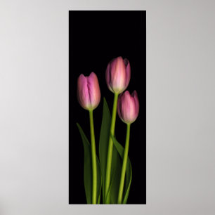 Pink Tulip Trio Print