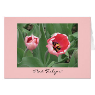 "Pink Tulips"